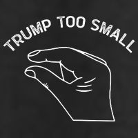 Trump Too Small Adult Drive Performance Visor