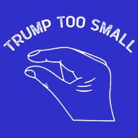 Trump Too Small Hoodie