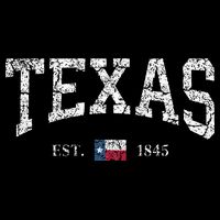 Texas  Texas State Flag Distressed Flexfit Unipanel Trucker Cap