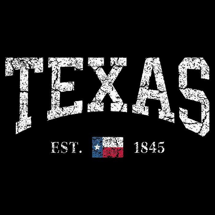 Texas  Texas State Flag Distressed Flexfit Unipanel Trucker Cap