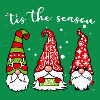 Tis The Season Gnome Christmas Holiday Kids T-Shirt