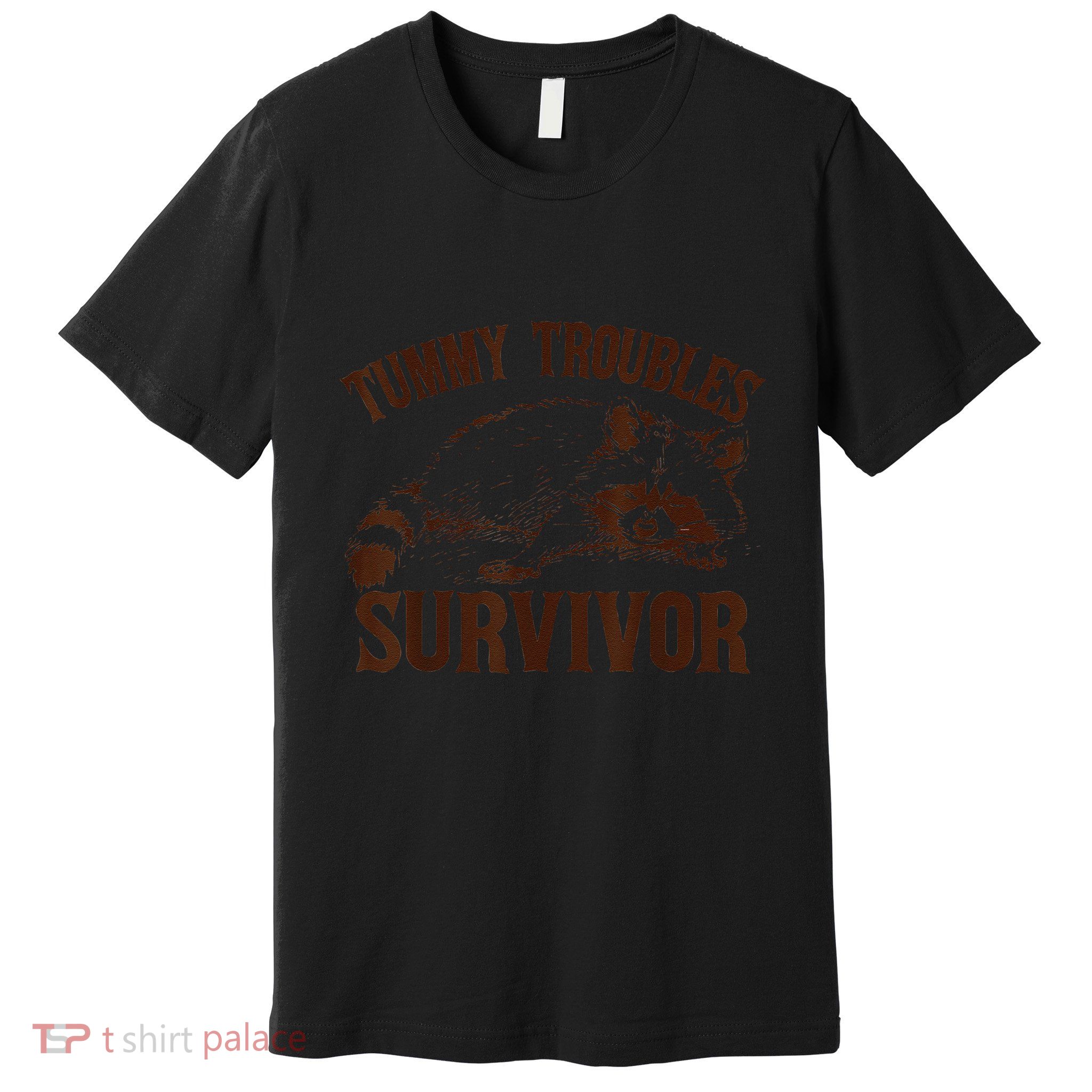 Tummy Troubles Survivor Gift Premium T-Shirt