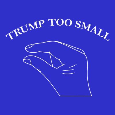Trump Too Small T-Shirt