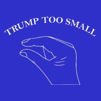 Trump Too Small Magnet