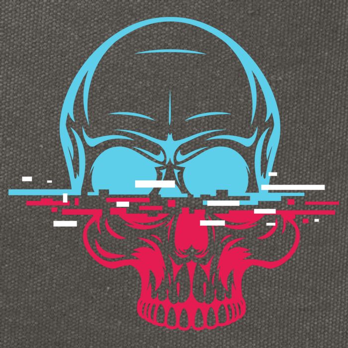 Two Tone Skull With Distortion Cotton Canvas Backpack