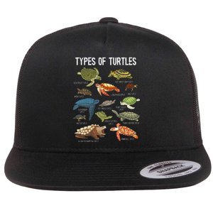 Turtle Turtle Spirit Animal Turtle Lover Flat Bill Trucker Hat