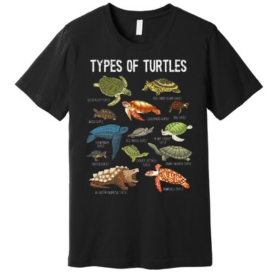 Turtle Turtle Spirit Animal Turtle Lover Premium T-Shirt