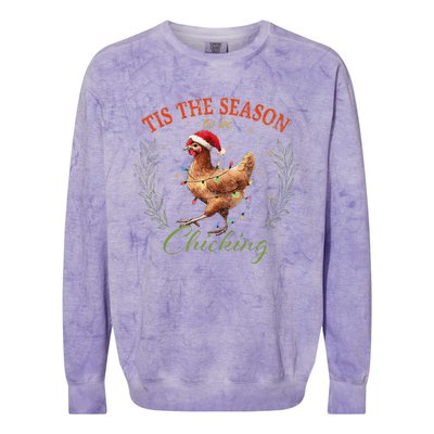 Tis The Season To Be Chicking Funny Christmas Chicken Colorblast Crewneck Sweatshirt