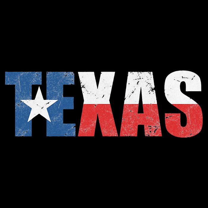 Texas Texas State Flag Vintage Texas Flag Texas State Hoodie