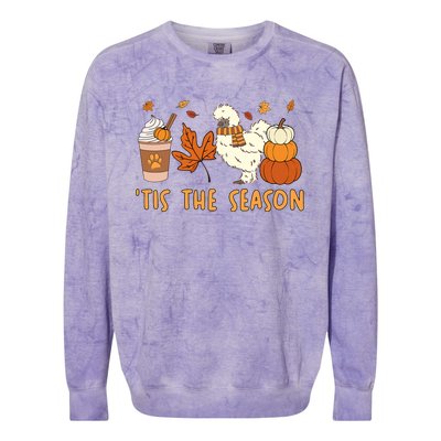 Tis The Season Silkie Chicken Mom Fall Autumn Pumpkin Coffee Colorblast Crewneck Sweatshirt