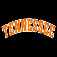 Tennessee TN Souvenir Football Baseball Sport Fans 16 in Basic Backpack