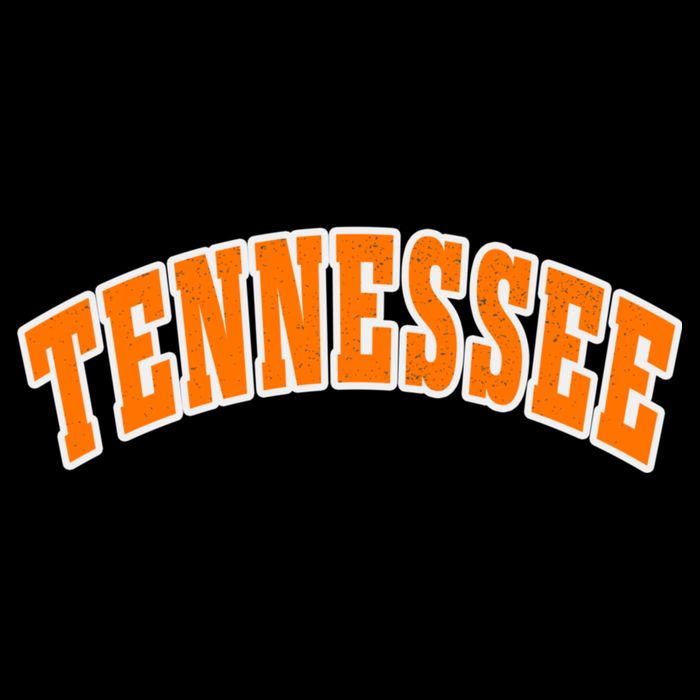 Tennessee TN Souvenir Football Baseball Sport Fans 16 in Basic Backpack