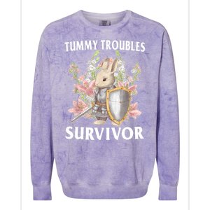 Tummy Troubles Survivor Funny Sarcastic Ibs Humor Statement Colorblast Crewneck Sweatshirt