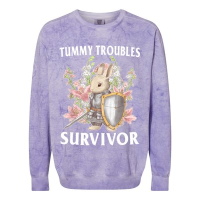 Tummy Troubles Survivor Funny Sarcastic Ibs Humor Statement Colorblast Crewneck Sweatshirt
