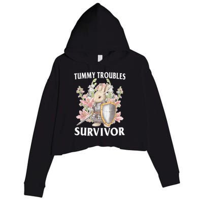 Tummy Troubles Survivor Funny Sarcastic Ibs Humor Statement Crop Fleece Hoodie