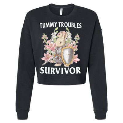Tummy Troubles Survivor Funny Sarcastic Ibs Humor Statement Cropped Pullover Crew