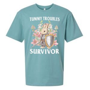 Tummy Troubles Survivor Funny Sarcastic Ibs Humor Statement Sueded Cloud Jersey T-Shirt