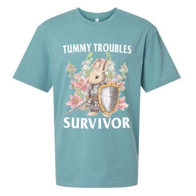 Tummy Troubles Survivor Funny Sarcastic Ibs Humor Statement Sueded Cloud Jersey T-Shirt