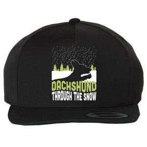 Through The Snow Gift Wool Snapback Cap