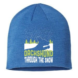 Through The Snow Gift Sustainable Beanie