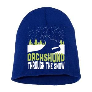 Through The Snow Gift Short Acrylic Beanie