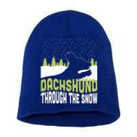 Through The Snow Gift Short Acrylic Beanie