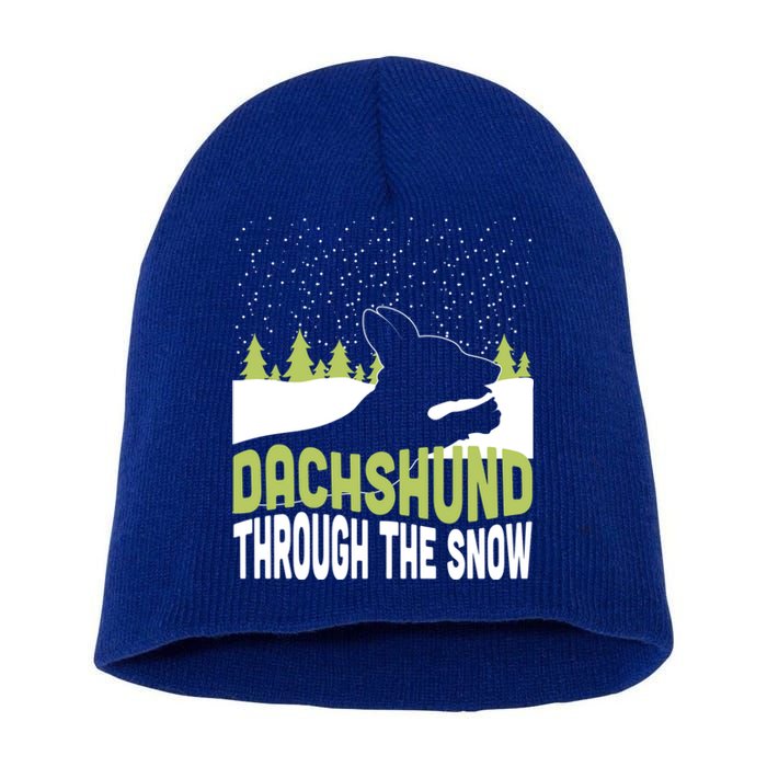 Through The Snow Gift Short Acrylic Beanie