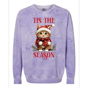 Tis The Season Cat Colorblast Crewneck Sweatshirt