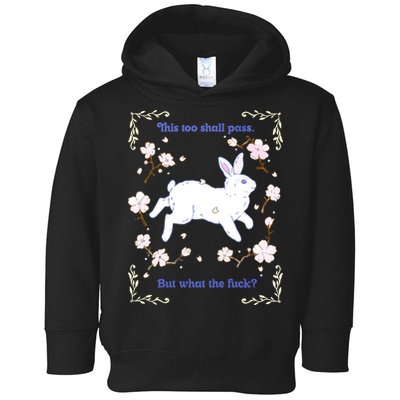This Too Shall Pass But What The Fuck Toddler Hoodie