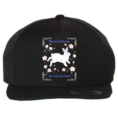 This Too Shall Pass But What The Fuck Wool Snapback Cap