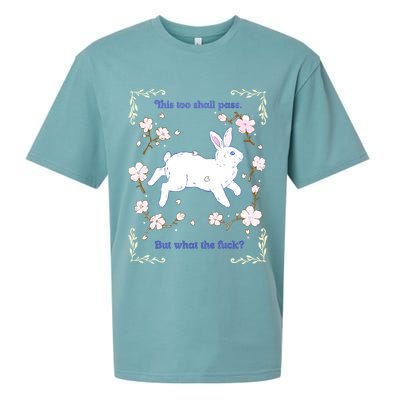 This Too Shall Pass But What The Fuck Sueded Cloud Jersey T-Shirt