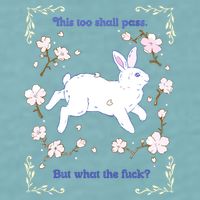 This Too Shall Pass But What The Fuck Sueded Cloud Jersey T-Shirt