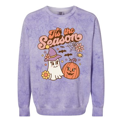 Tis The Season Fall Season Autumn Ghost Pumpkin Halloween Costume Colorblast Crewneck Sweatshirt