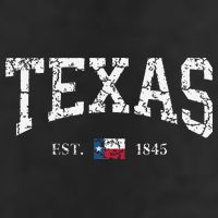 Texas Texas State Flag Distressed 7 Panel Mesh Trucker Snapback Hat
