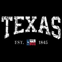 Texas Texas State Flag Distressed Drawstring Bag