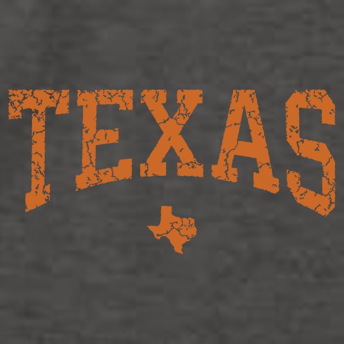 Texas Texas State Map Distressed Vector Backpack