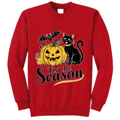 Tis The Season Halloween Bats Pumpkin Fall Funny Cute Sweatshirt