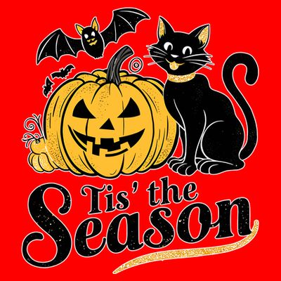 Tis The Season Halloween Bats Pumpkin Fall Funny Cute T-Shirt