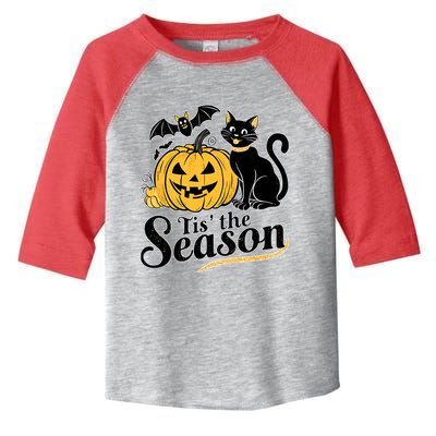 Tis The Season Halloween Bats Pumpkin Fall Funny Cute Toddler Fine Jersey T-Shirt