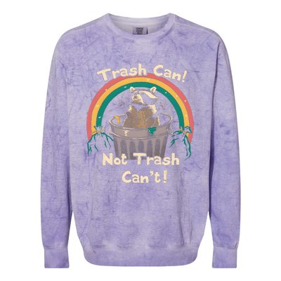 TRASH TALKER Trash Can Not Trash Cant Colorblast Crewneck Sweatshirt