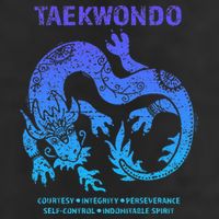 Taekwondo Tkd Tae Kwon Do Dragon Art Martial Arts Graphic Adult Drive Performance Visor