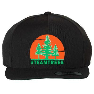 Team Trees #Teamtrees 2020 Plant Twenty Million Trees Gift Wool Snapback Cap