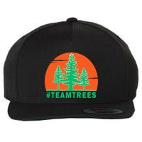 Team Trees #Teamtrees 2020 Plant Twenty Million Trees Gift Wool Snapback Cap