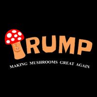 Trump Toadstool T Mushroom Political 16 in Basic Backpack