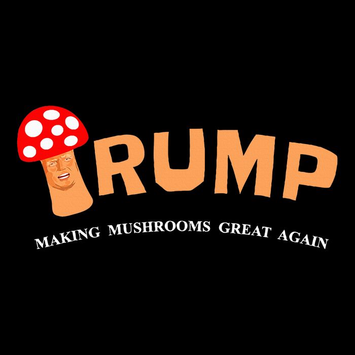 Trump Toadstool T Mushroom Political 16 in Basic Backpack