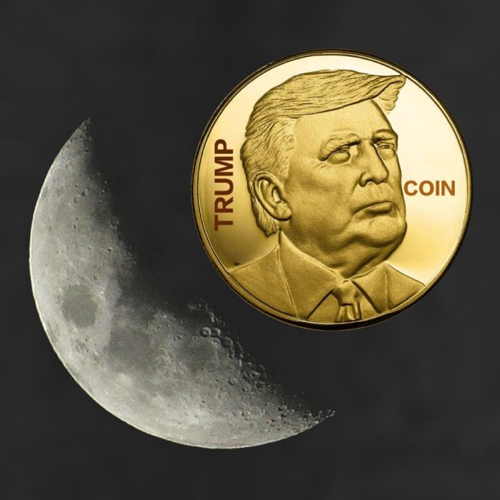 $Trump To The Moon Adult Drive Performance Visor