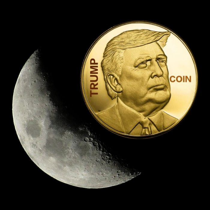 $Trump To The Moon Premium T-Shirt