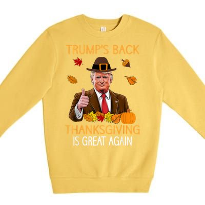 Trump Thanksgiving Turkey Autumn Fall Thankful Premium Crewneck Sweatshirt