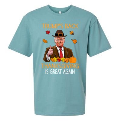 Trump Thanksgiving Turkey Autumn Fall Thankful Sueded Cloud Jersey T-Shirt