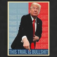 Trump This Trial Is Bullshit Beanie